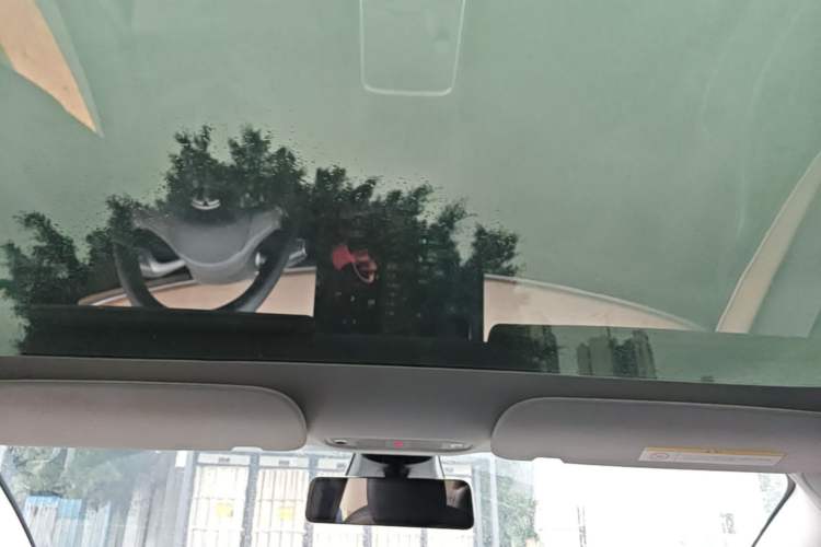 Used Tesla Model 3 2022 Rear-Wheel-Drive Version Headliner