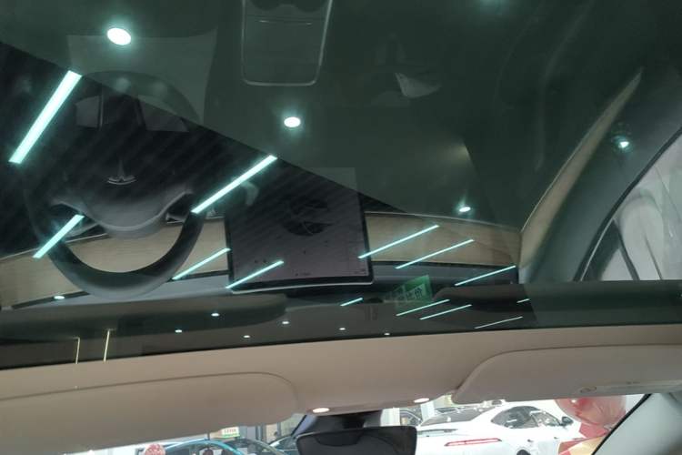 Used Tesla Model 3 2022 Rear-Wheel-Drive Version Headliner