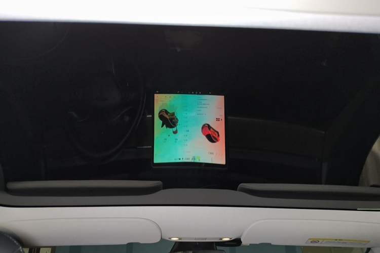 Used Tesla Model 3 2022 Rear-Wheel-Drive Version Headliner