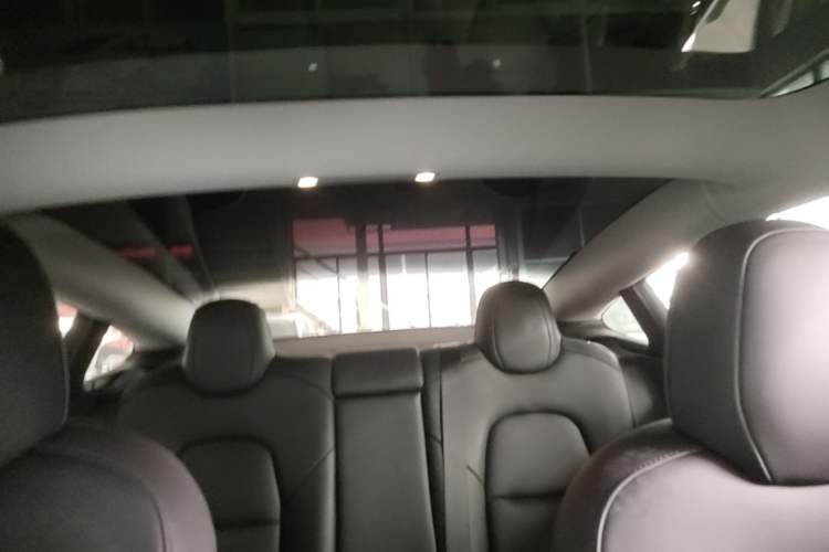Used Tesla Model 3 2022 Rear-Wheel-Drive Version Headliner
