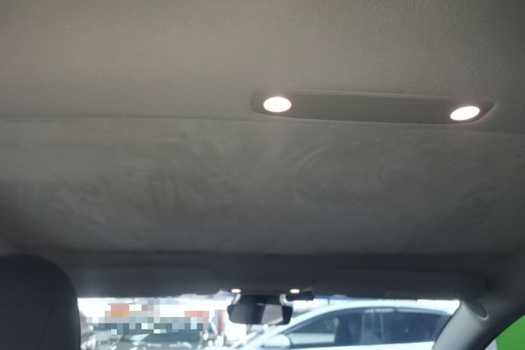 Used Tesla Model 3 2022 Rear-Wheel-Drive Version Headliner