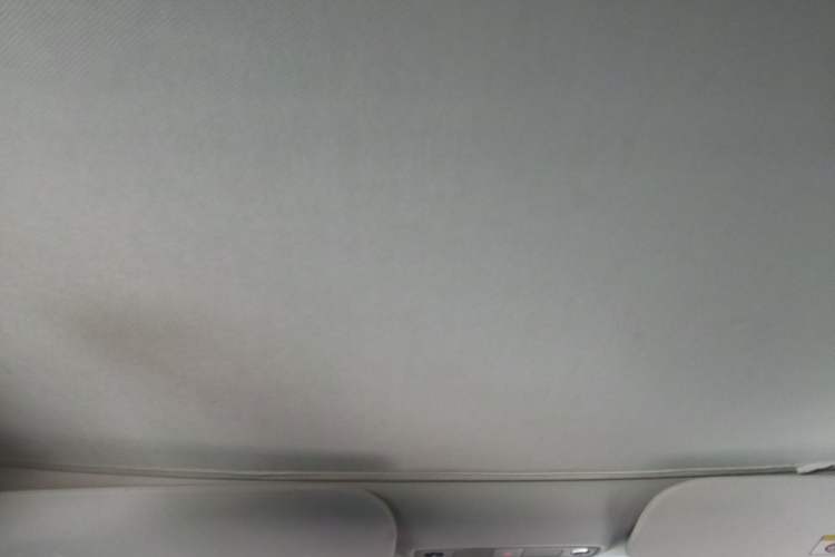 Used Tesla Model 3 2022 Rear-Wheel-Drive Version Headliner