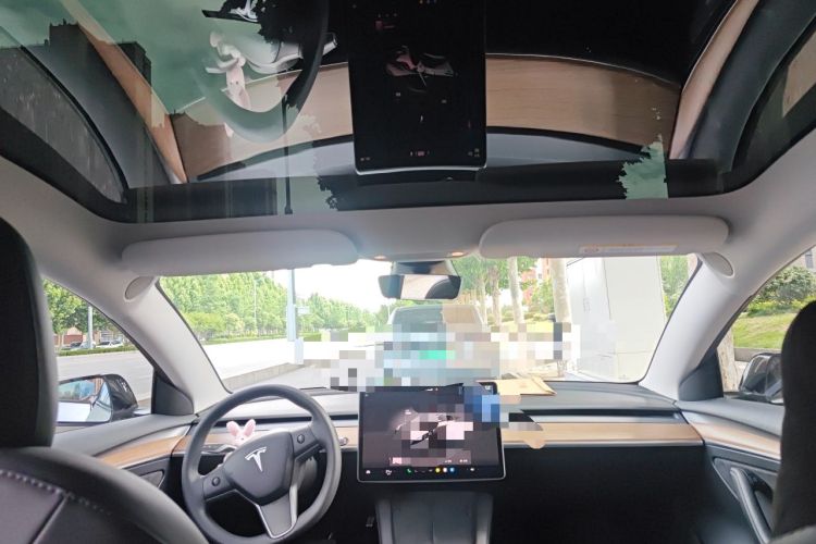 Used Tesla Model 3 2022 Rear-Wheel-Drive Version Headliner