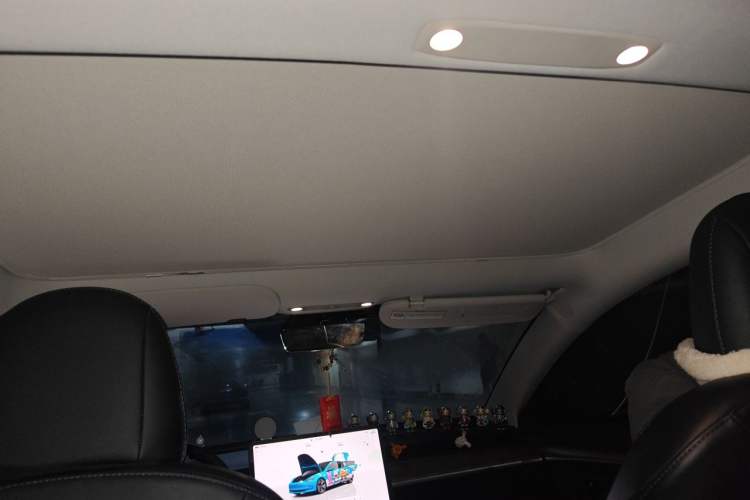 Used Tesla Model 3 2022 Rear-Wheel-Drive Version Headliner