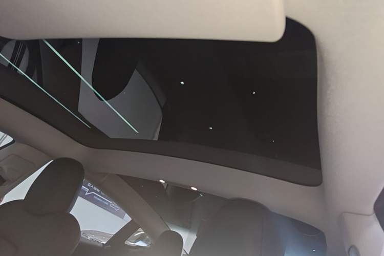 Used Tesla Model 3 2022 Rear-Wheel-Drive Version Headliner