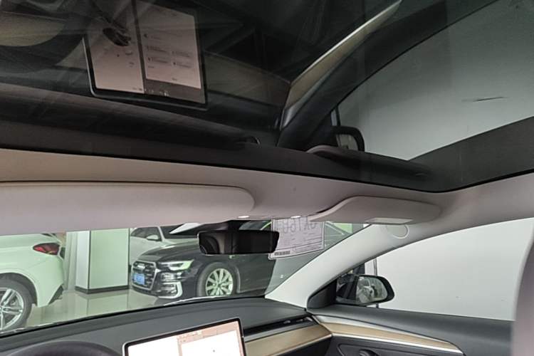 Used Tesla Model 3 2022 Performance High-Performance All-Wheel-Drive Version Headliner