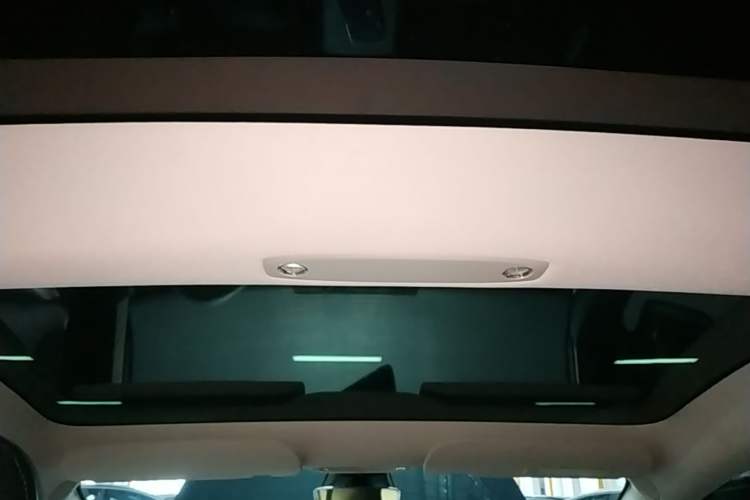 Used Tesla Model 3 2022 Rear-Wheel-Drive Version Headliner