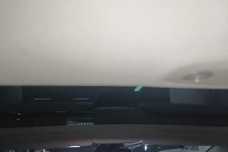 Used Tesla Model 3 2022 Performance High-Performance All-Wheel-Drive Version Headliner