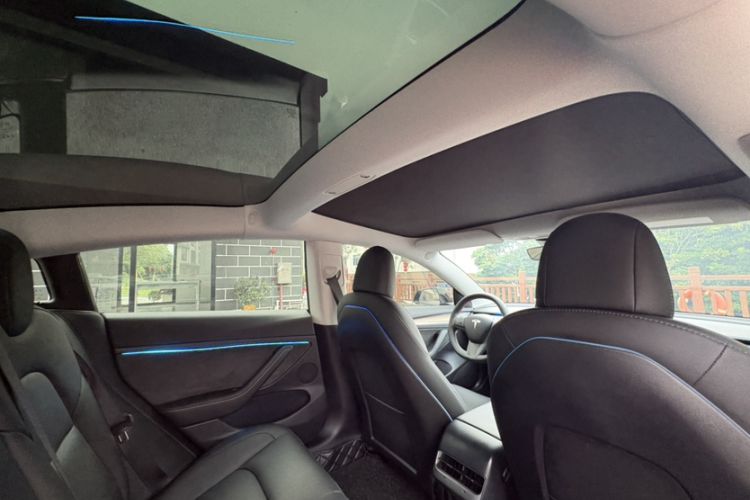 Used Tesla Model 3 2022 Rear-Wheel-Drive Version Headliner