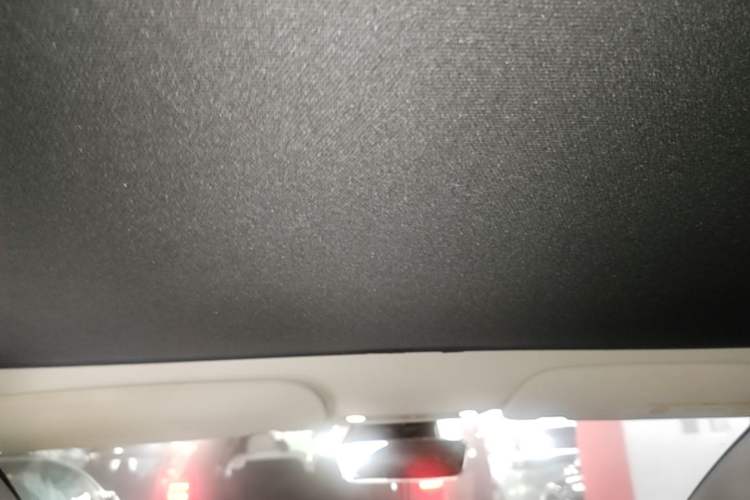 Used Tesla Model 3 2022 Rear-Wheel-Drive Version Headliner