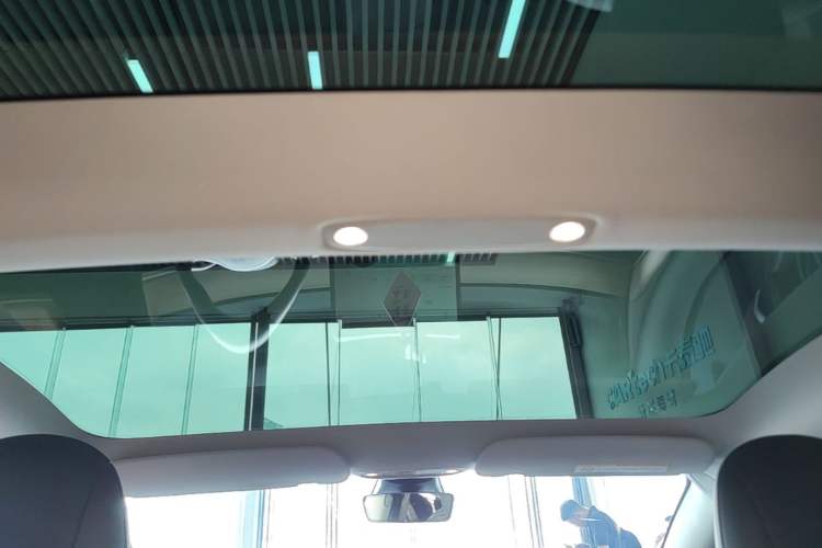 Used Tesla Model 3 2022 Rear-Wheel-Drive Version Headliner