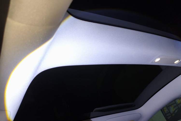 Used Tesla Model 3 2022 Rear-Wheel-Drive Version Headliner