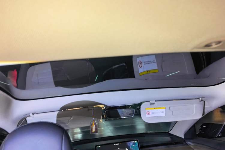 Used Tesla Model 3 2022 Rear-Wheel-Drive Version Headliner