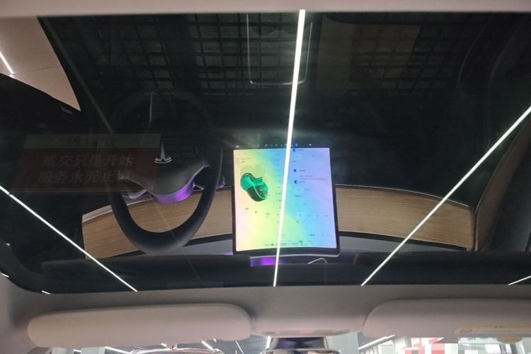 Used Tesla Model 3 2022 Rear-Wheel-Drive Version Headliner