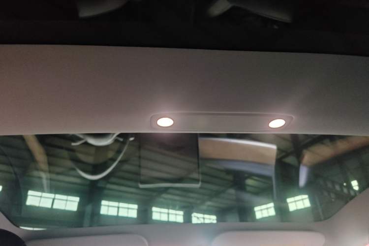 Used Tesla Model 3 2022 Rear-Wheel-Drive Version Headliner