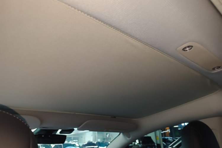Used Tesla Model 3 2022 Rear-Wheel-Drive Version Headliner