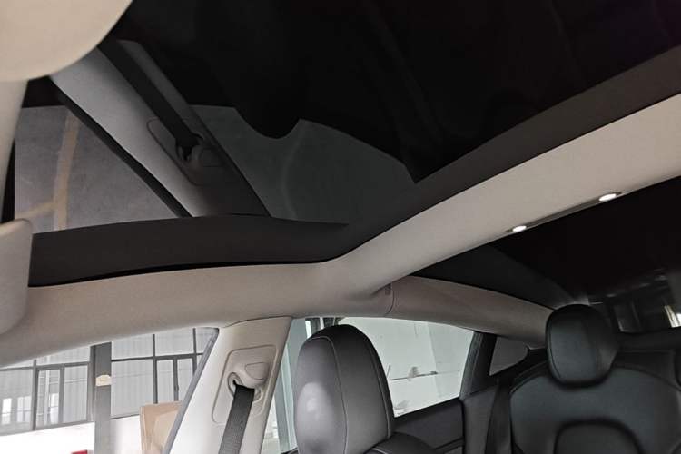 Used Tesla Model 3 2022 Rear-Wheel-Drive Version Headliner