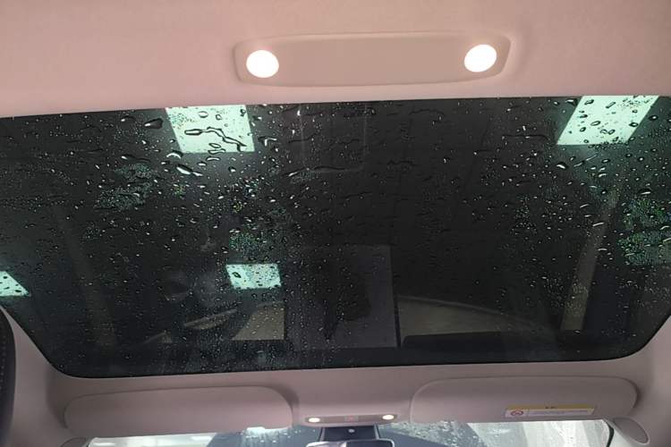 Used Tesla Model 3 2022 Rear-Wheel-Drive Version Headliner