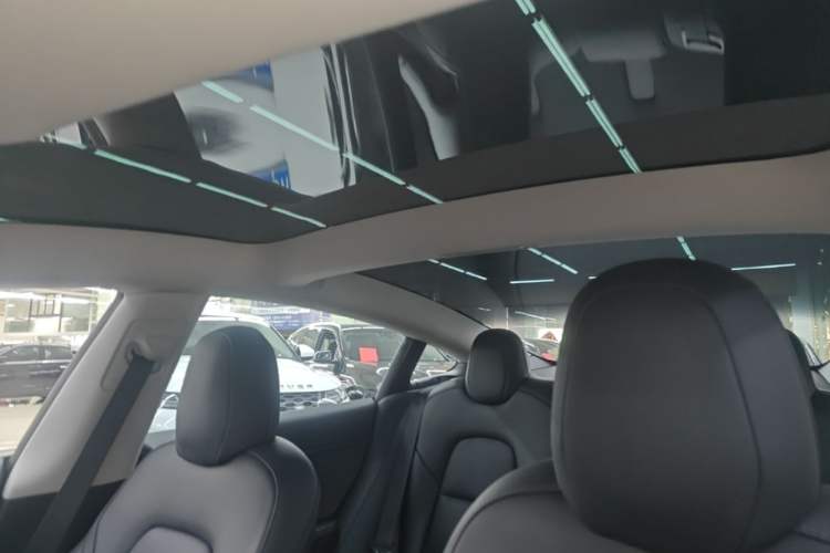 Used Tesla Model 3 2022 Rear-Wheel-Drive Version Headliner