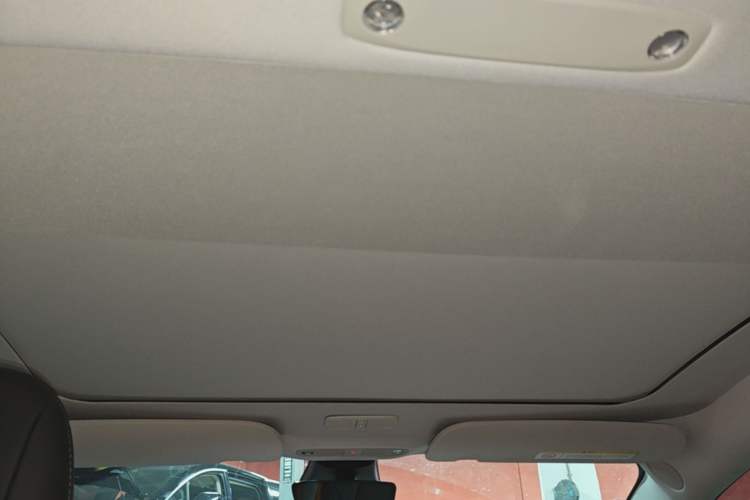 Used Tesla Model 3 2022 Rear-Wheel-Drive Version Headliner