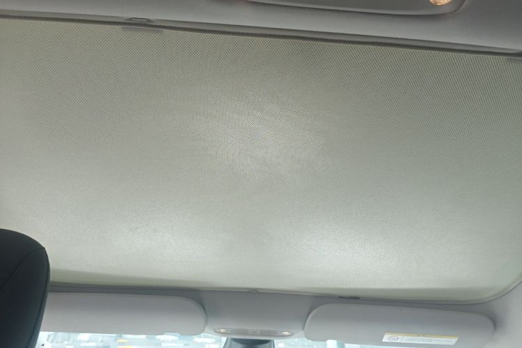Used Tesla Model 3 2022 Rear-Wheel-Drive Version Headliner