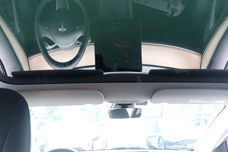 Used Tesla Model 3 2022 Rear-Wheel-Drive Version Headliner