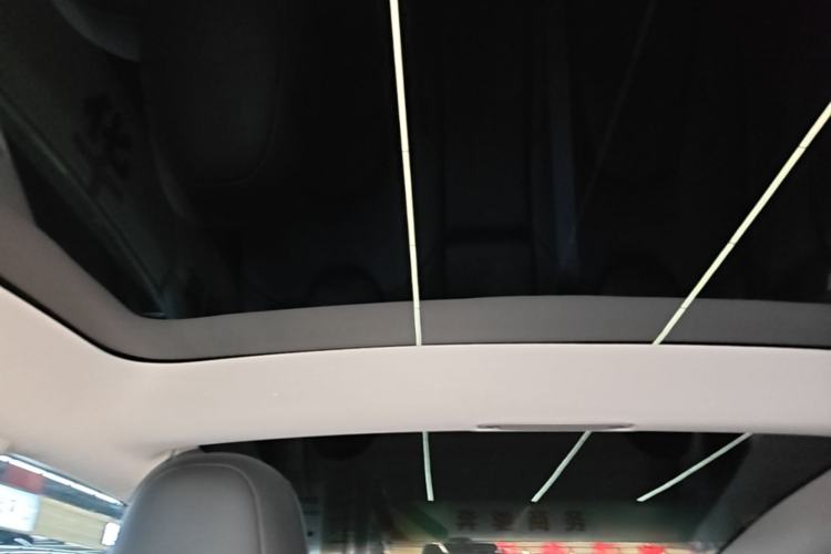 Used Tesla Model 3 2022 Rear-Wheel-Drive Version Headliner