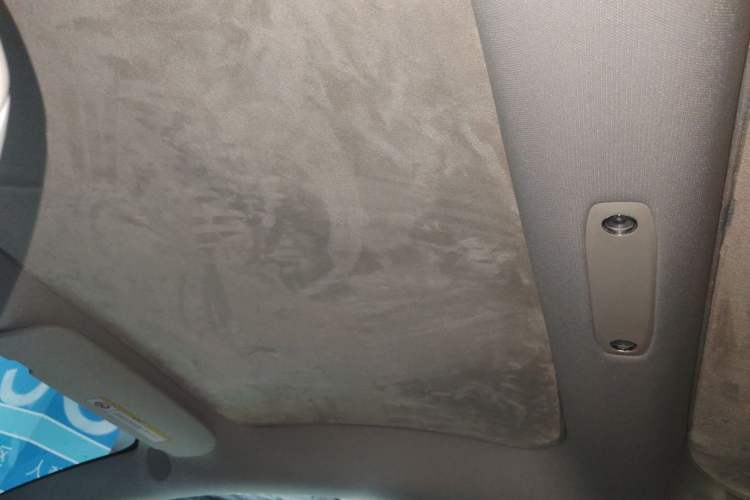 Used Tesla Model 3 2022 Rear-Wheel-Drive Version Headliner