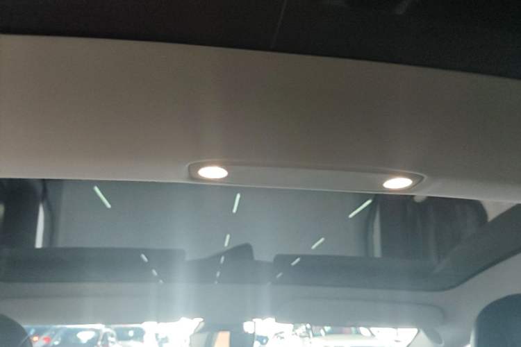Used Tesla Model 3 2022 Rear-Wheel-Drive Version Headliner