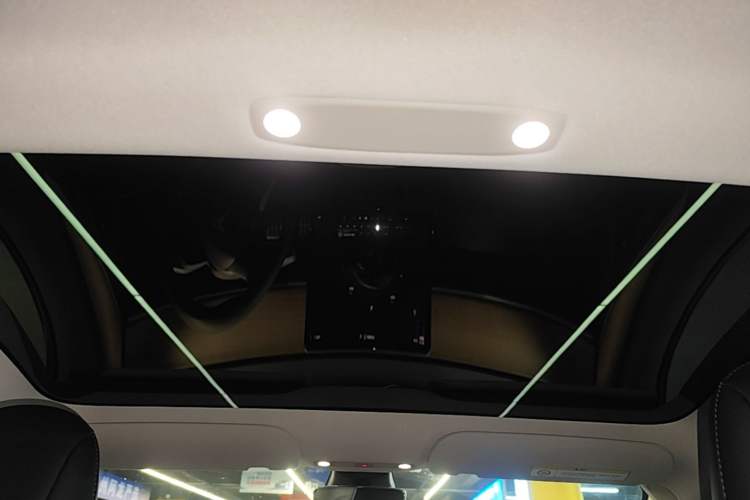 Used Tesla Model 3 2022 Performance High-Performance All-Wheel-Drive Version Headliner