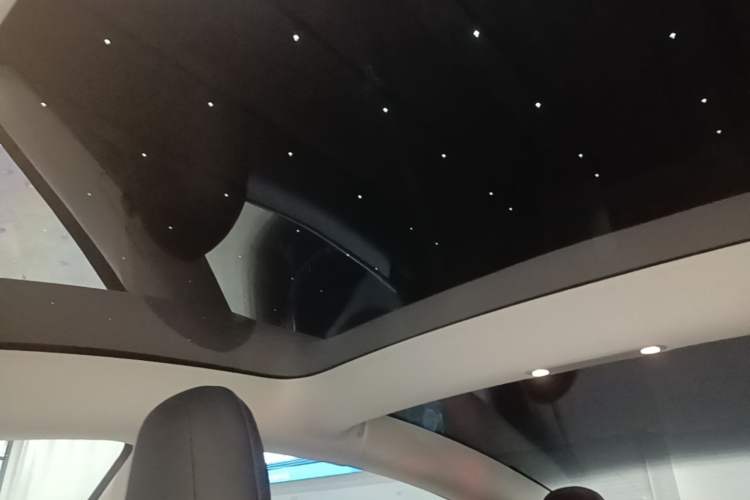 Used Tesla Model 3 2022 Rear-Wheel-Drive Version Headliner