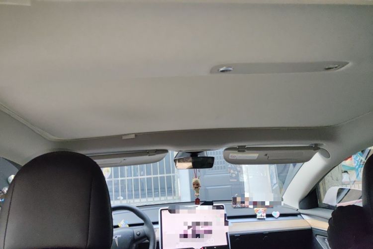 Used Tesla Model 3 2022 Rear-Wheel-Drive Version Headliner