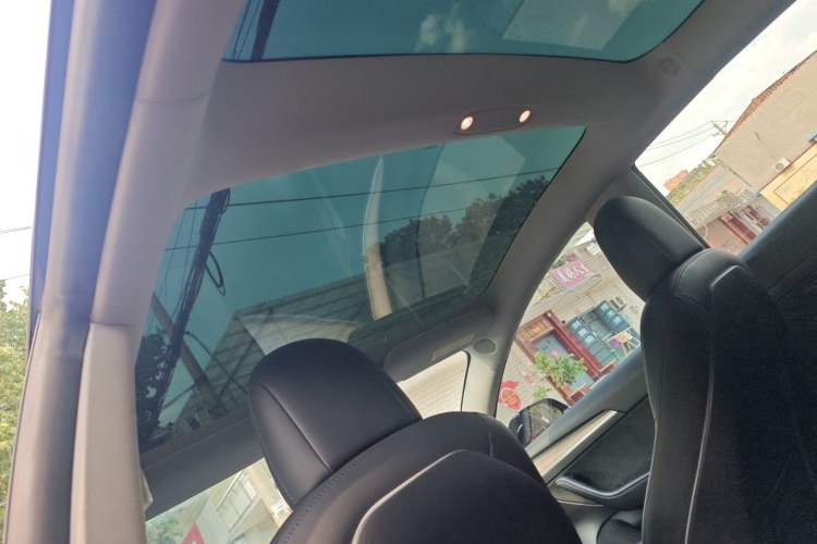 Used Tesla Model 3 2022 Rear-Wheel-Drive Version Headliner
