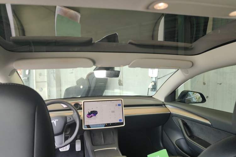 Used Tesla Model 3 2022 Performance High-Performance All-Wheel-Drive Version Headliner