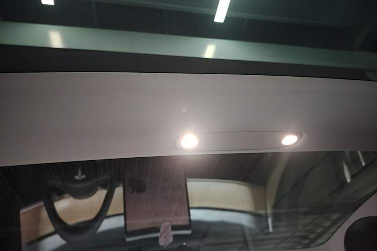 Used Tesla Model 3 2022 Performance High-Performance All-Wheel-Drive Version Headliner