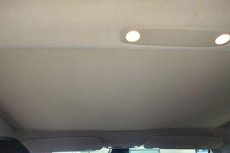 Used Tesla Model 3 2022 Rear-Wheel-Drive Version Headliner