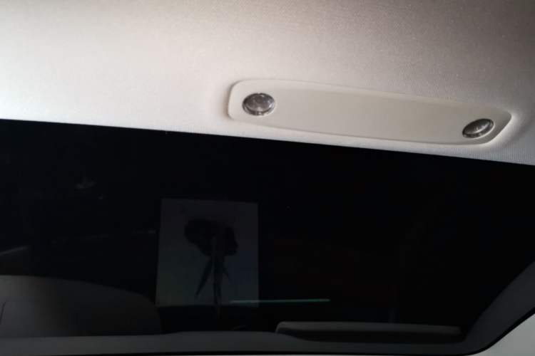 Used Tesla Model 3 2022 Rear-Wheel-Drive Version Headliner