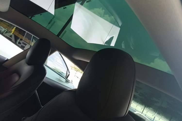 Used Tesla Model 3 2022 Rear-Wheel-Drive Version Headliner