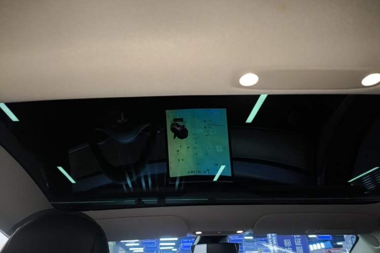 Used Tesla Model 3 2022 Rear-Wheel-Drive Version Headliner