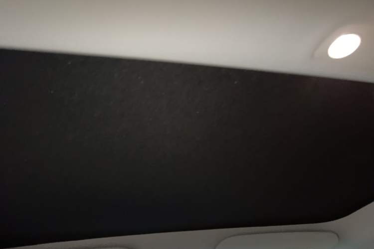 Used Tesla Model 3 2022 Rear-Wheel-Drive Version Headliner