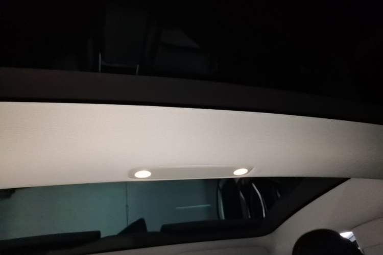 Used Tesla Model 3 2022 Rear-Wheel-Drive Version Headliner