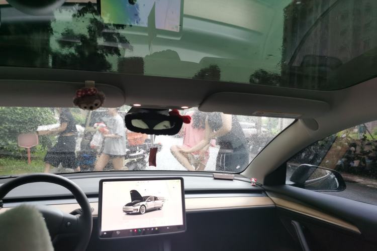 Used Tesla Model 3 2022 Rear-Wheel-Drive Version Headliner