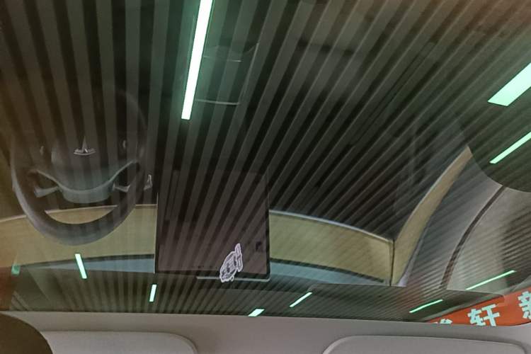 Used Tesla Model 3 2022 Rear-Wheel-Drive Version Headliner