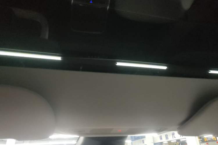 Used Tesla Model 3 2022 Performance High-Performance All-Wheel-Drive Version Headliner