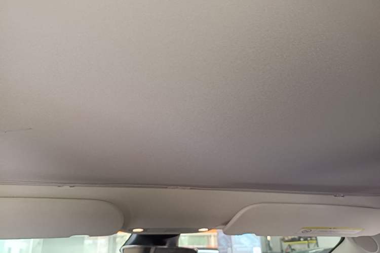 Used Tesla Model 3 2022 Rear-Wheel-Drive Version Headliner