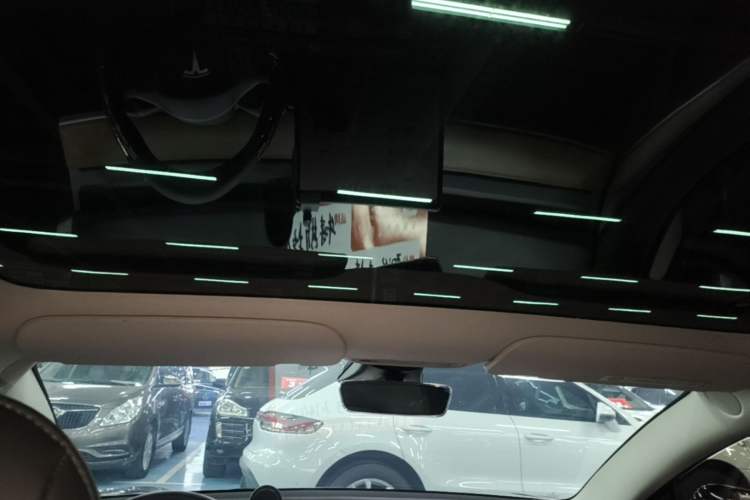 Used Tesla Model 3 2022 Rear-Wheel-Drive Version Headliner
