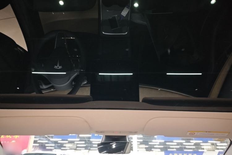 Used Tesla Model 3 2022 Rear-Wheel-Drive Version Headliner