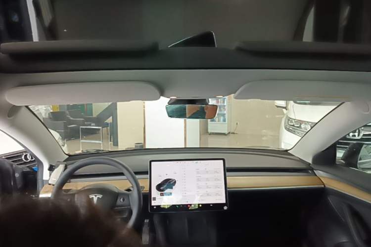 Used Tesla Model 3 2022 Rear-Wheel-Drive Version Headliner