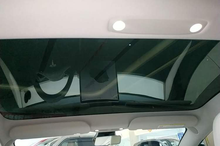 Used Tesla Model 3 2022 Rear-Wheel-Drive Version Headliner