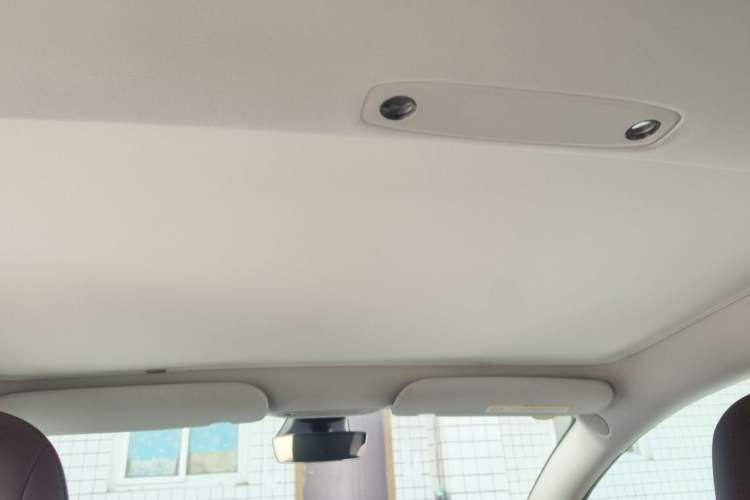 Used Tesla Model 3 2022 Rear-Wheel-Drive Version Headliner